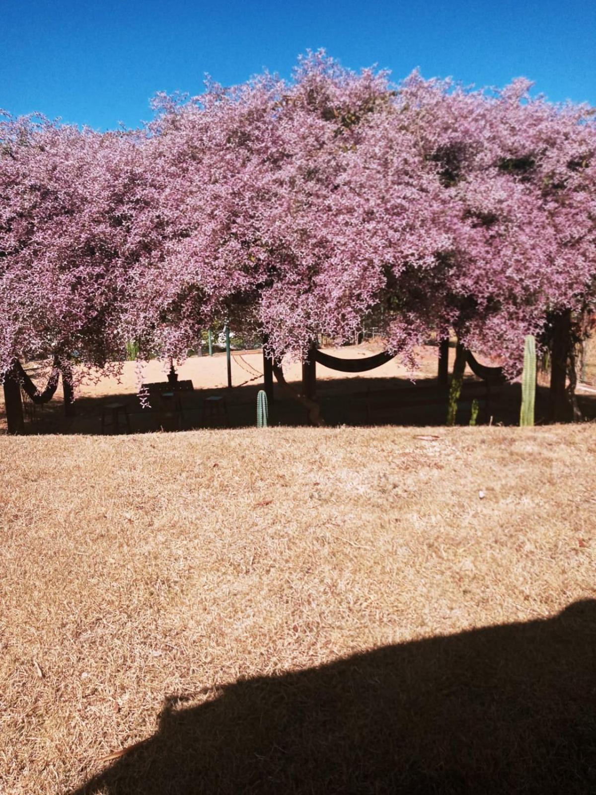 Village Recanto Splendory - Sitio Com Lazer Completo E Privativo Perto De Bh Prudente de Morais Dış mekan fotoğraf